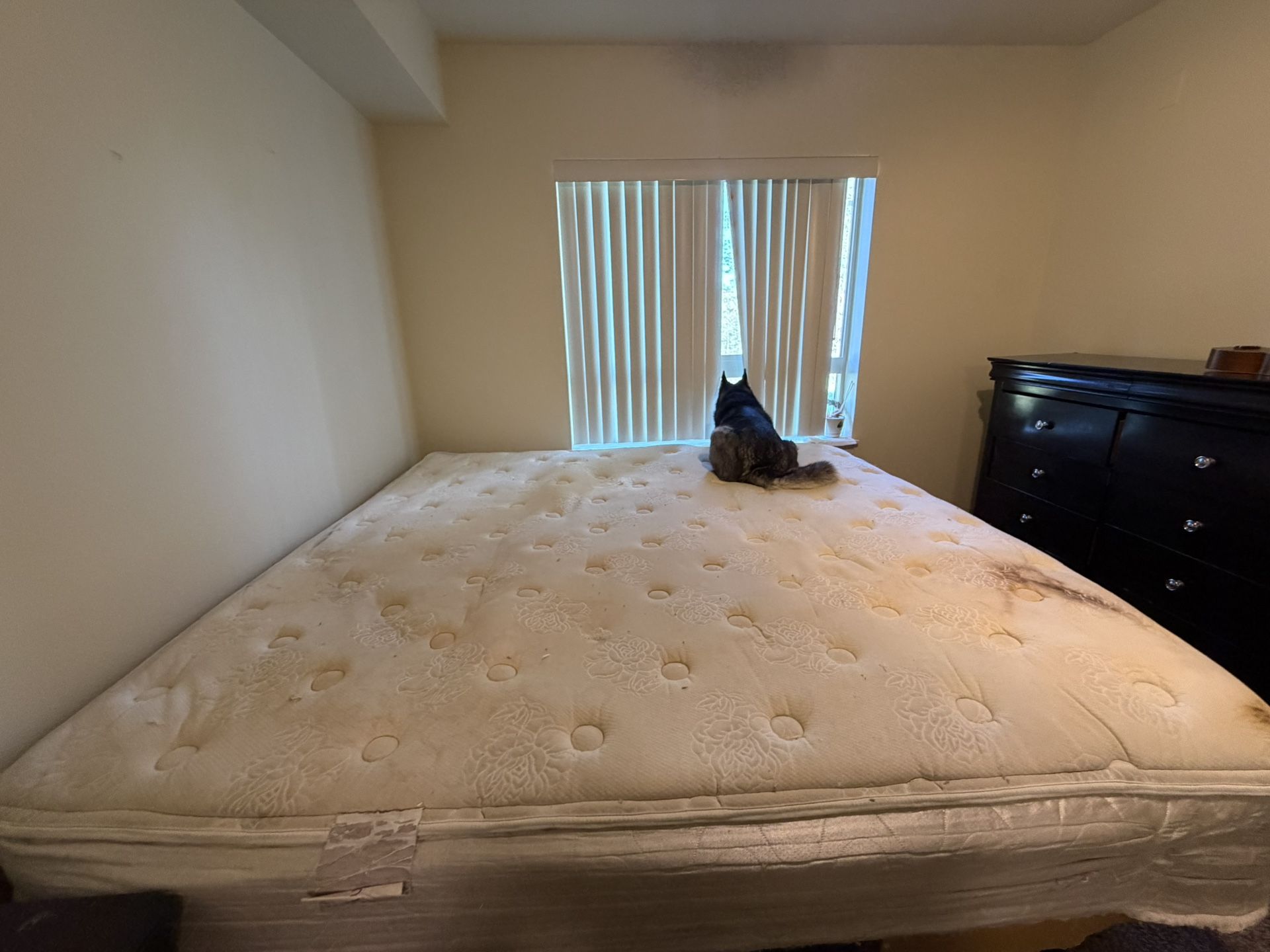 King Size Mattress & Adjustable Base