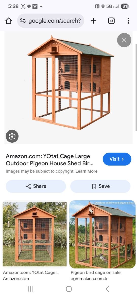 This Pigeon Cage For Free