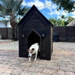 Homemade Dog House 🏡🐶