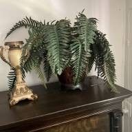 Faux Plants