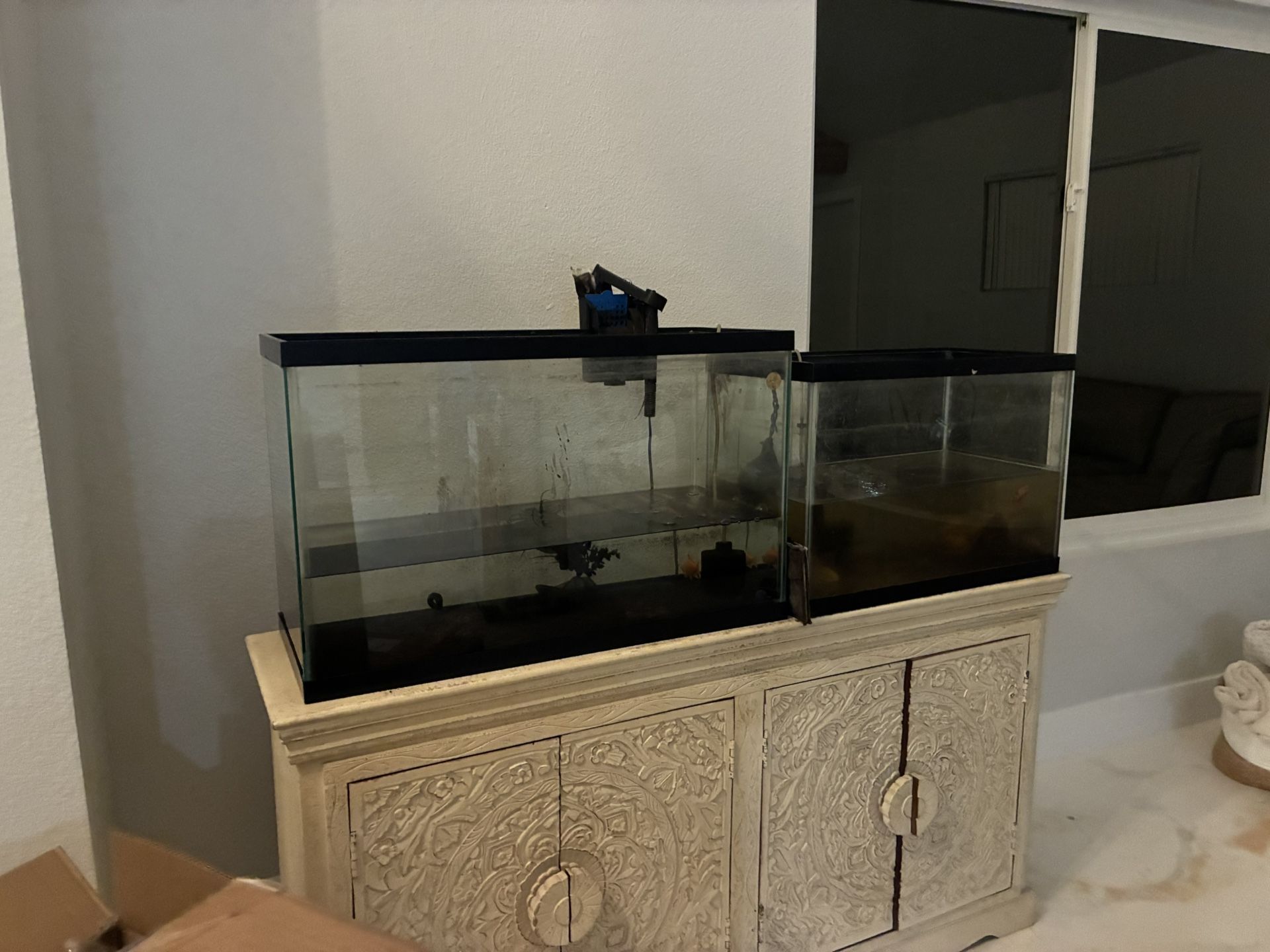 29 And 20 Gallon Tank NO FISH