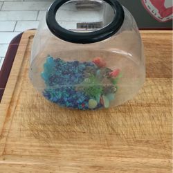 Fish Tank 