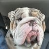 Lenny