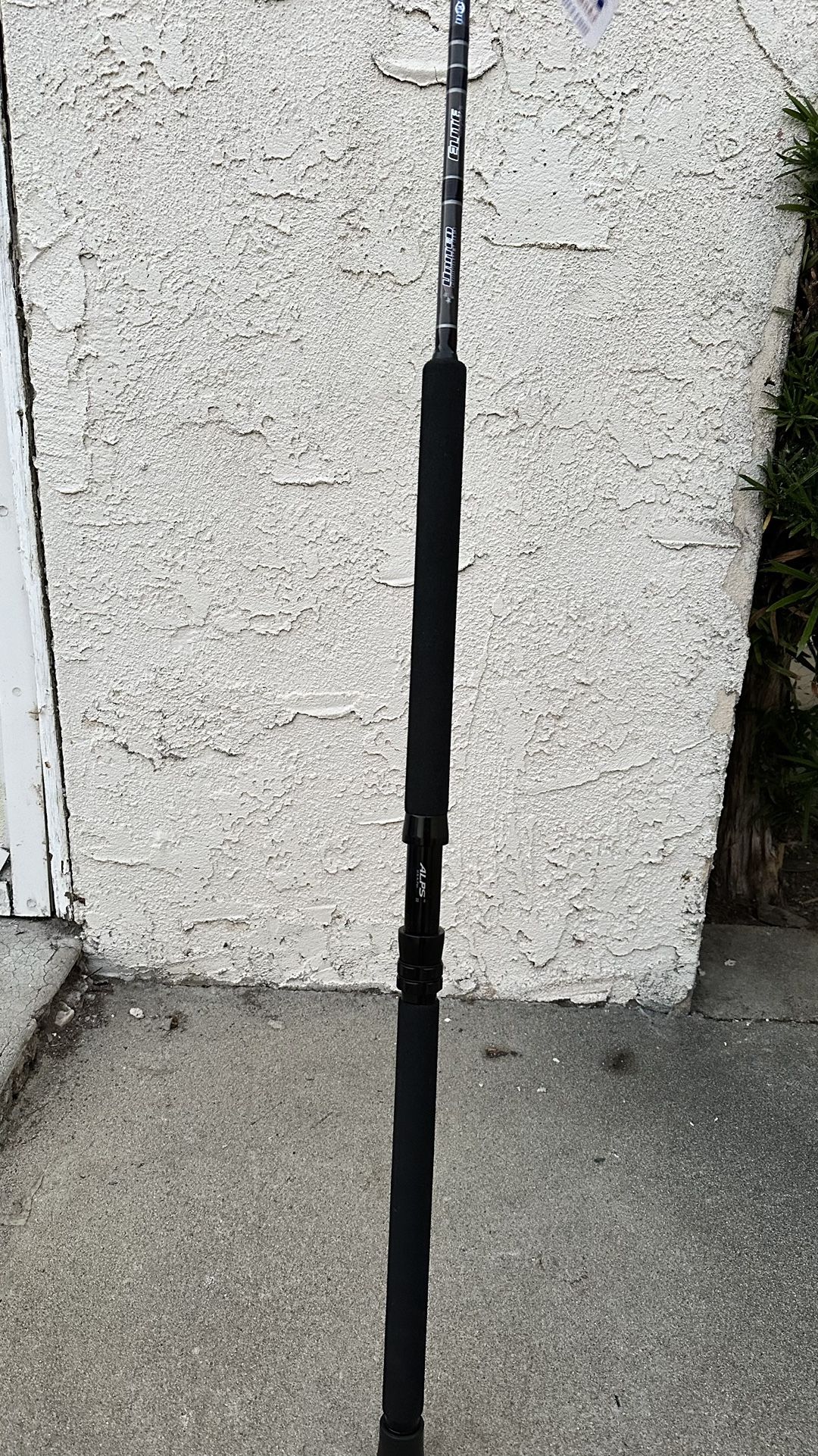 Fishing Rod