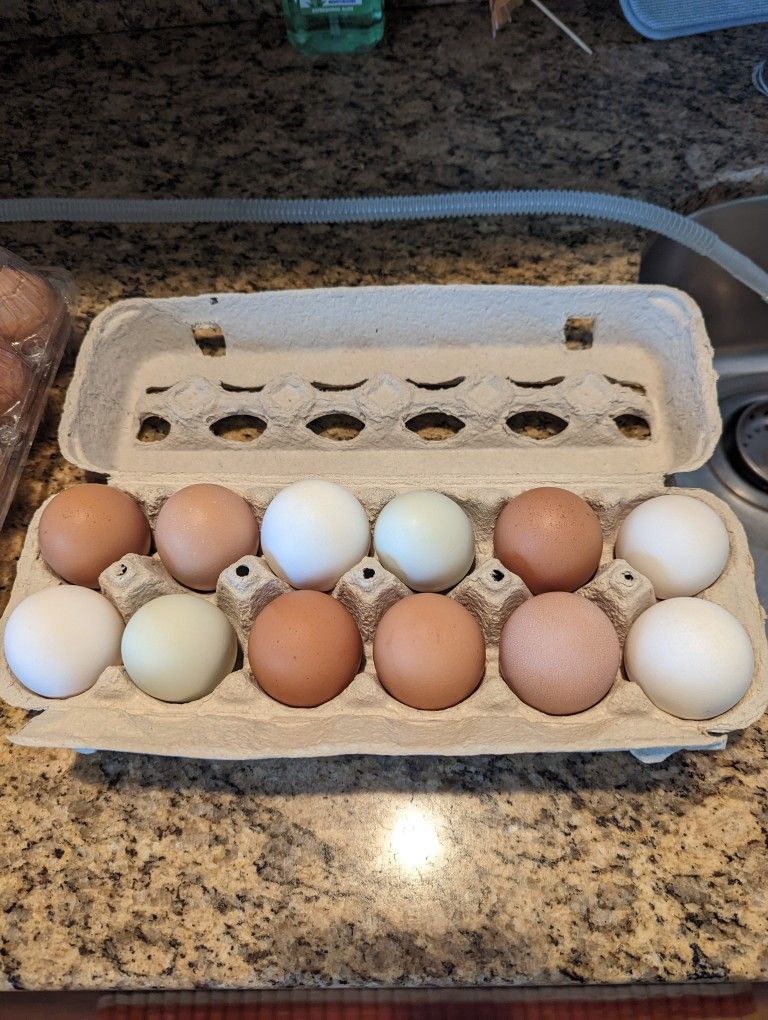 Farm Fresh Eggs