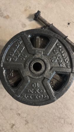 12 Golds gym 10lb plate