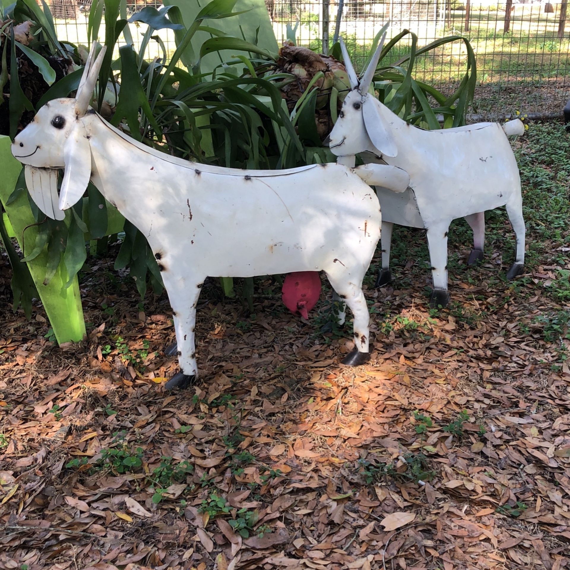 Goats. Billy And Doe 30inch Metal Yard Ornaments