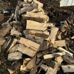Dry Pine Firewood 