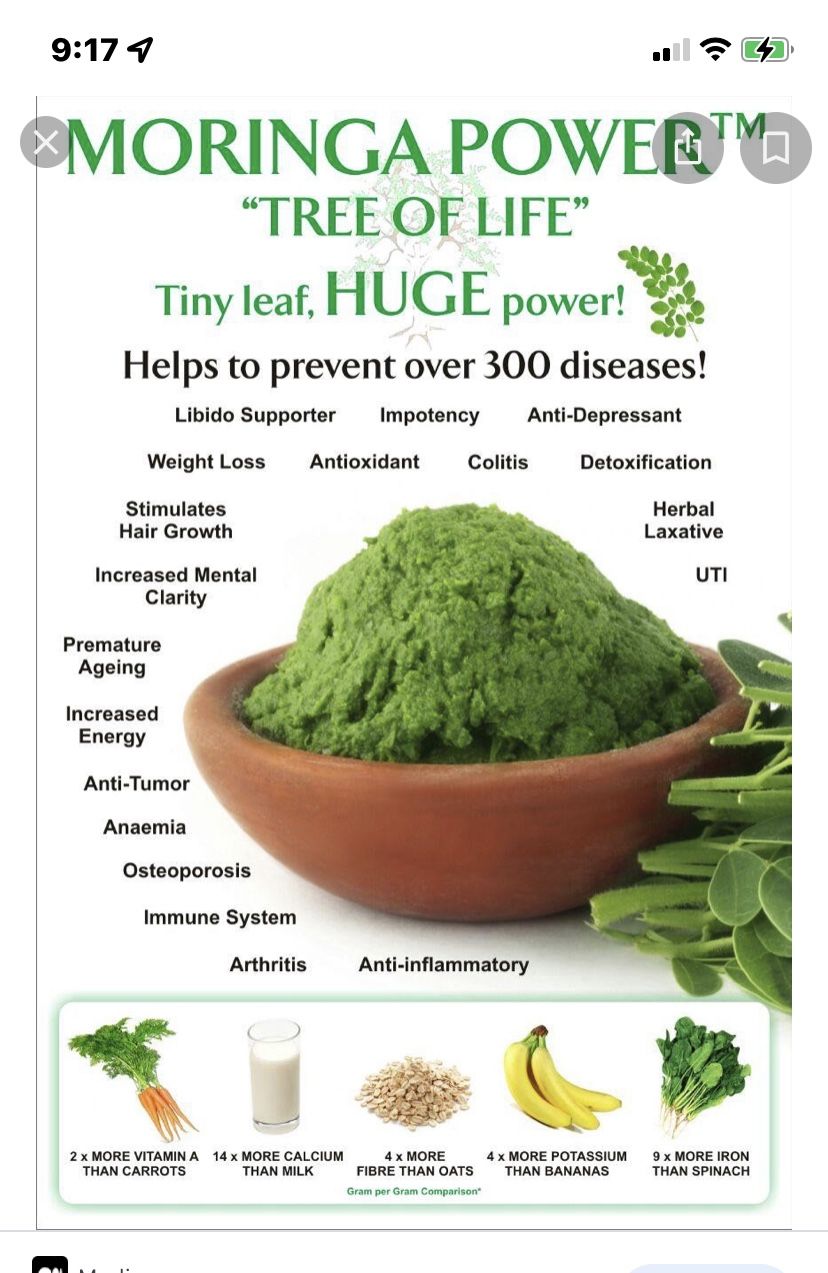 Moringa tree
