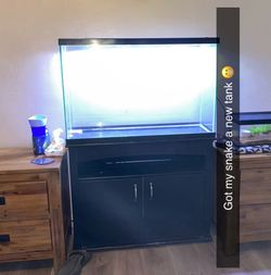 Aquarium￼