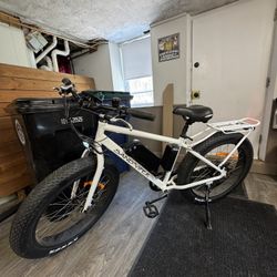 2022 SSR Motorsports SandViper 500W E-Bike