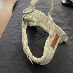 Dog Collar 