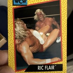 1991 WCW Wrestling Card Full Set