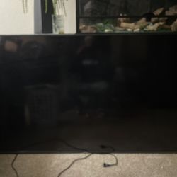 Vizio 75in  Smart Tv 