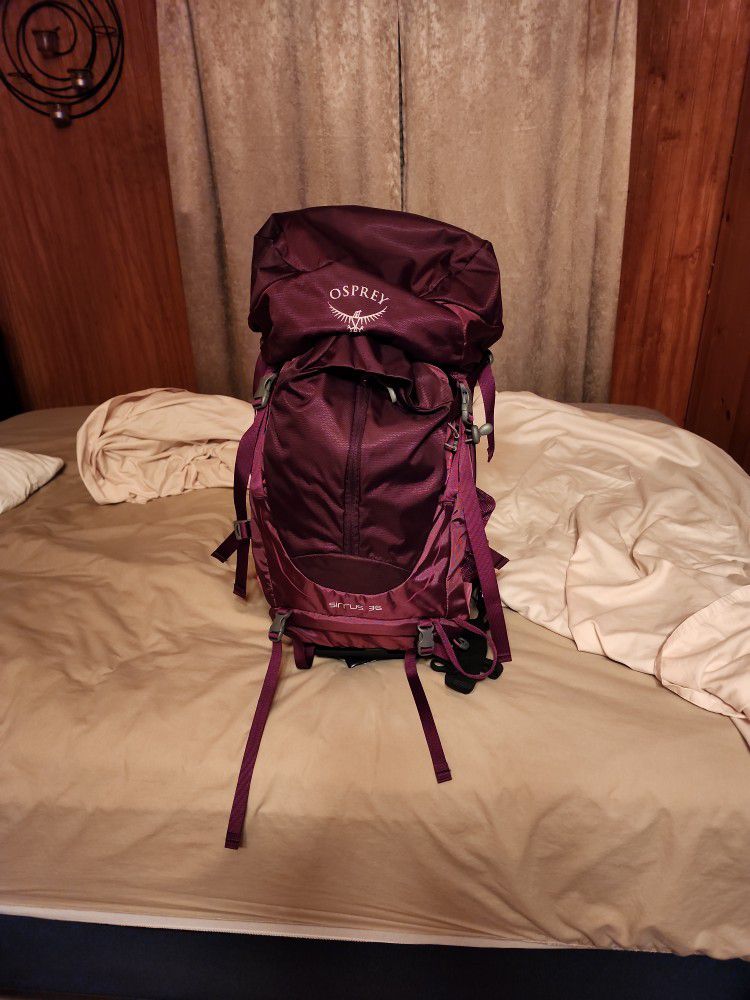 Women's Osprey Sirrus 36L Backpack