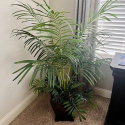 Faux Houseplant