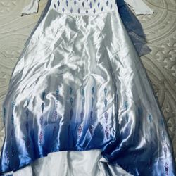 Elsa Snow Queen Costume