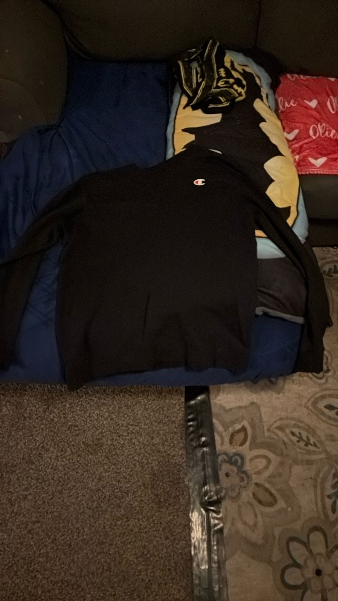 Champion Sweatshirt