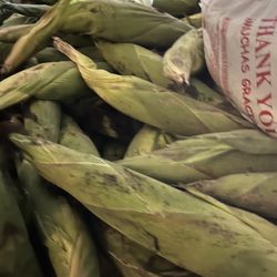 Elote Mexicano Para Uchepos Y Tamales