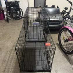 dog cage 