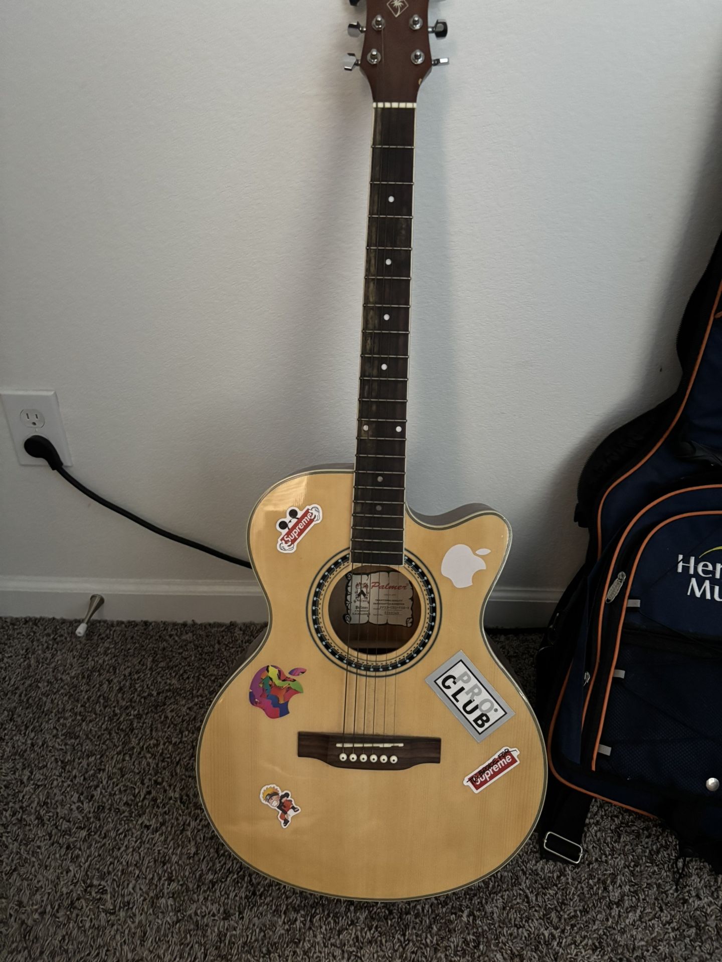 Palmer Guitar