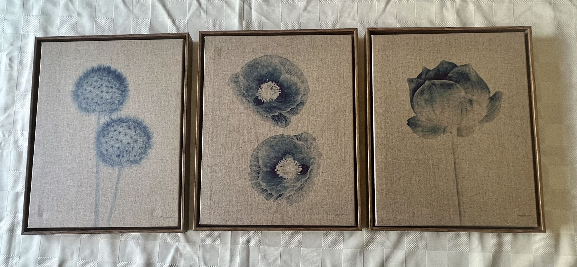 Madison Park Blue Print Botanicals 3-Piece Framed Canvas Wall Art Set.