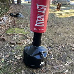 Everlast Free Standing Heavy Bag