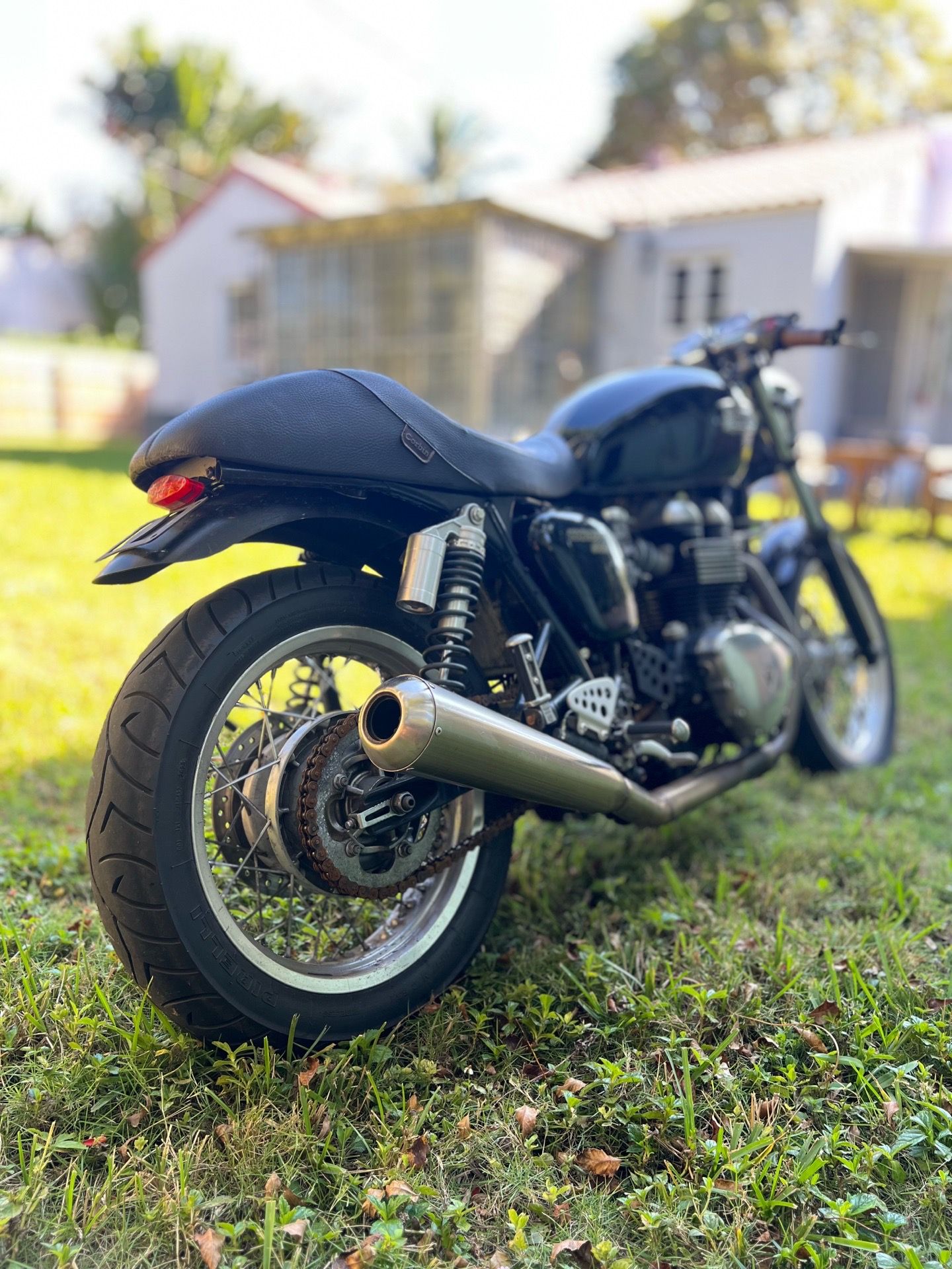 2011 Triumph Thuxton 900 cafe racer custom