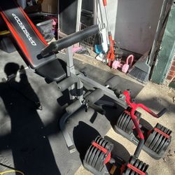 Adjustable Dumbbells 10-90lbs Home Gym