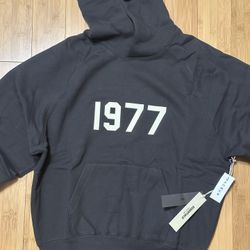 ESSENTIALS HOODIE FW22 IRON