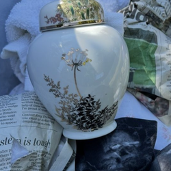 Lots of  vases, $20 each