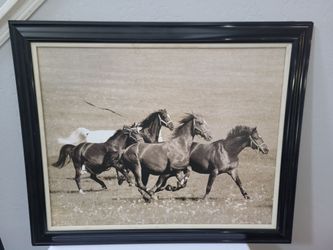Black horse frame $10