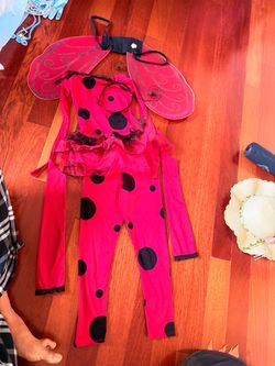 Free Halloween ladybug costume 2-4 year old