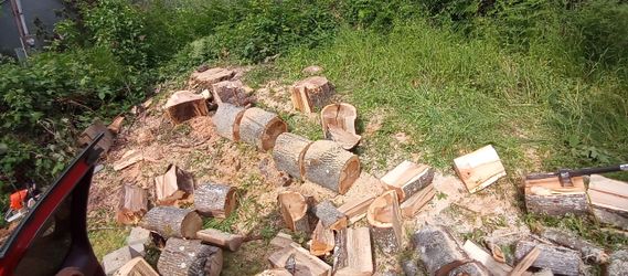 Firewood