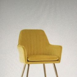 Furniture Chair