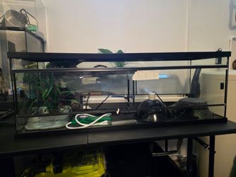 Large Terrarium 15.5" x 48.5" x 17.25"
