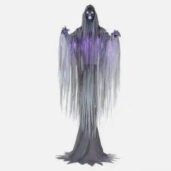 15ft Floating phantom 