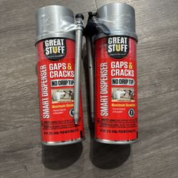 Great Stuff Foam Sealant 