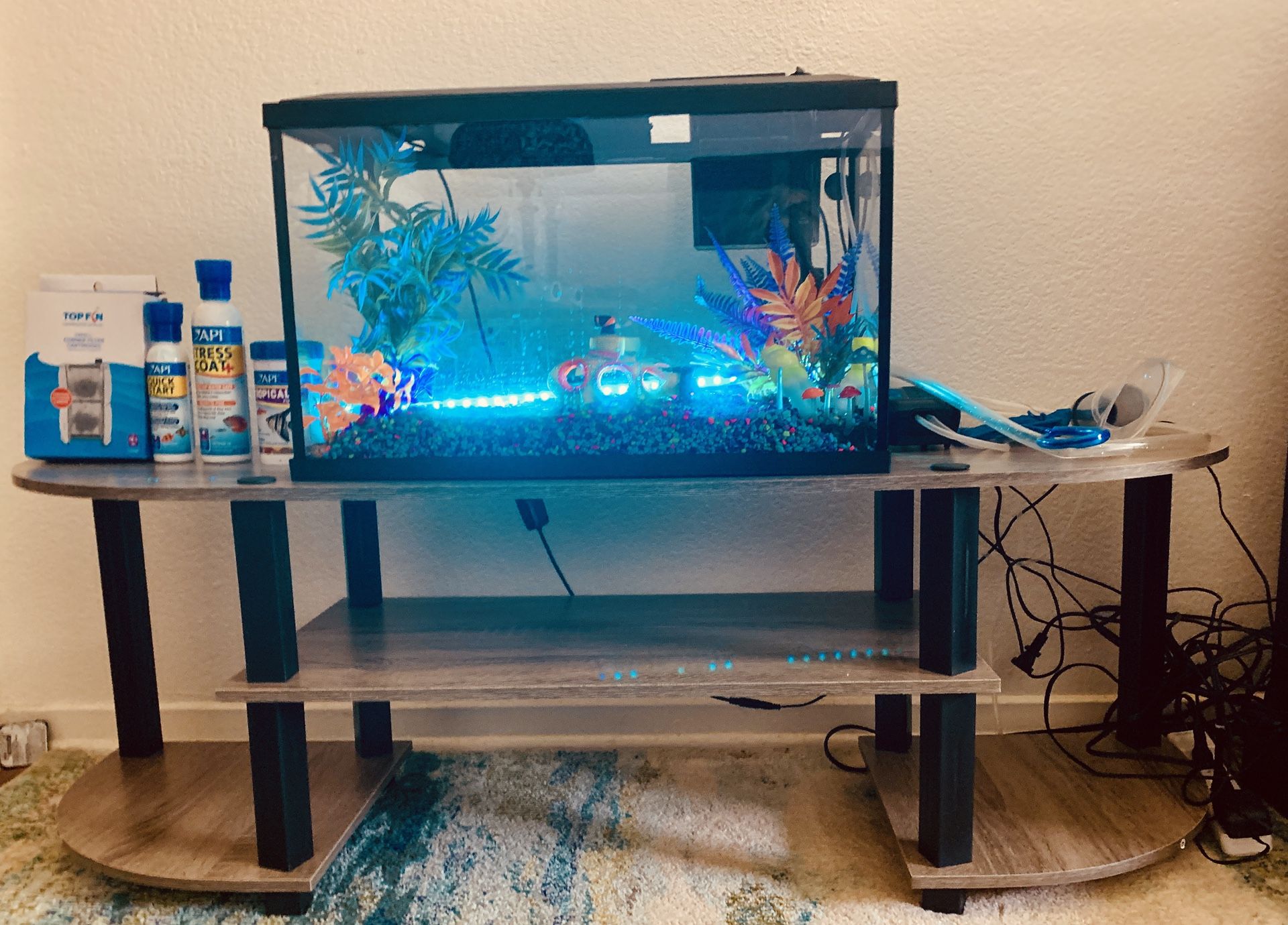 10gal Aquarium, 3 Tier Stand, Everything Included
