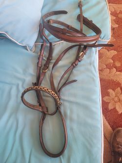 Horse bridle, leash, leads & more
