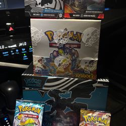 pokémon 