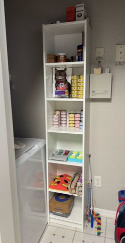 Tall Bookshelf