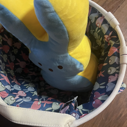 Easter Basket & Peep