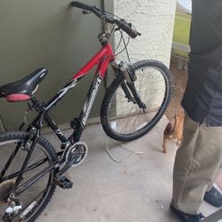 Diamondback bike