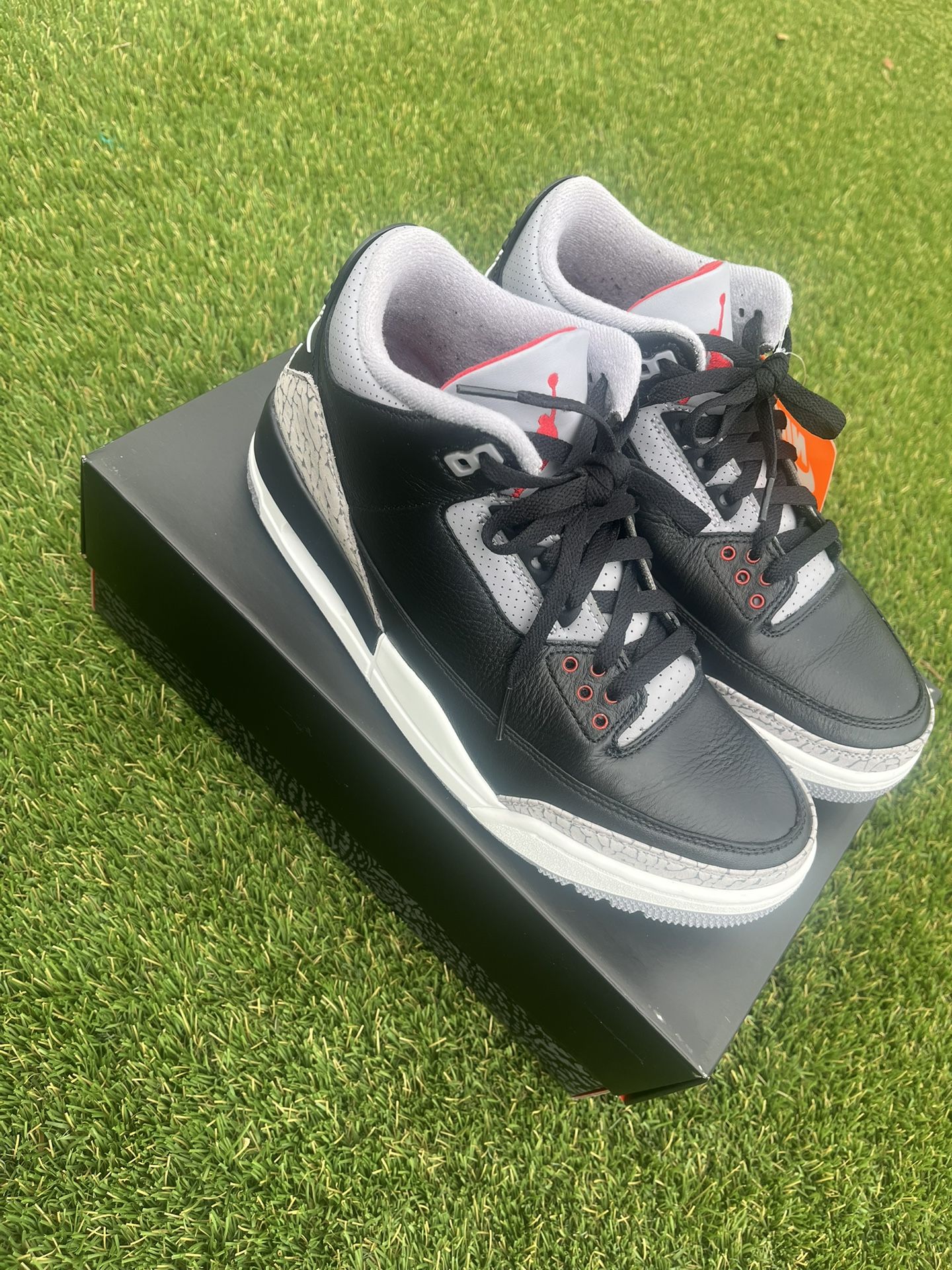 Jordan 3