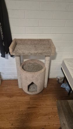 Cat stand