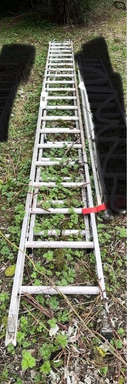 Extendable Ladder