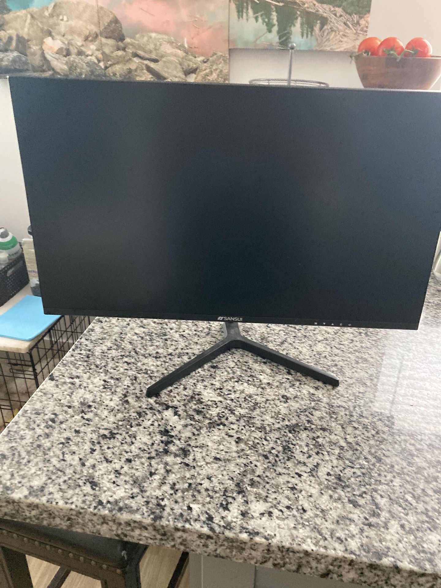 SANSUI 110 Hz Monitor 