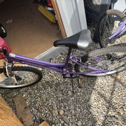 Roadmaster 24" Granite Peak Mountain Bike, Purple