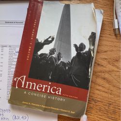 America A Concise History